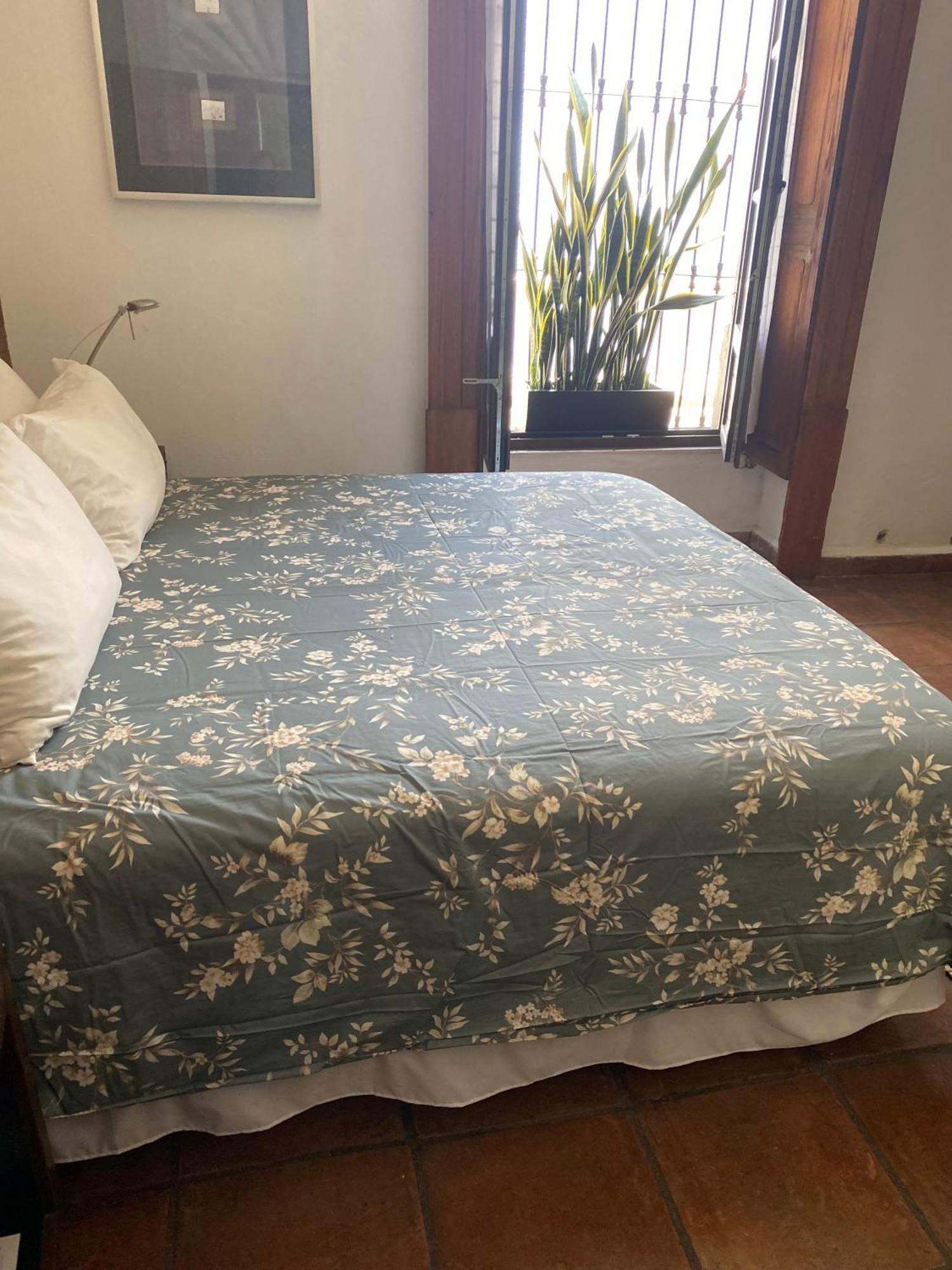 Casa Aspeytia Hotel Boutique Queretaro Ngoại thất bức ảnh
